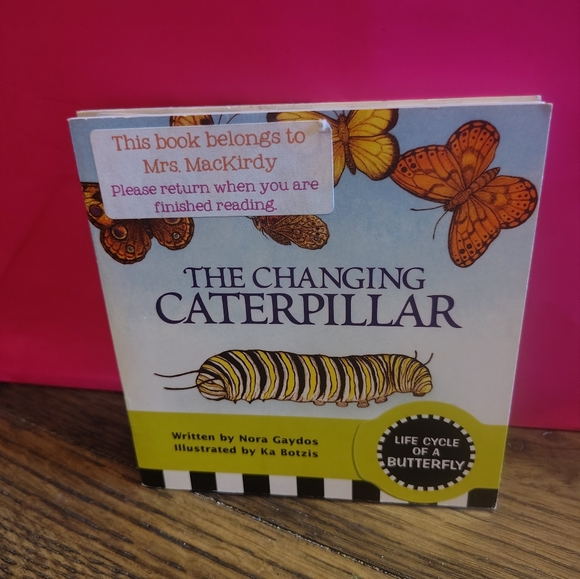 Scholastic Red and Blue Learning Toys Collection - Picture 8 of 9